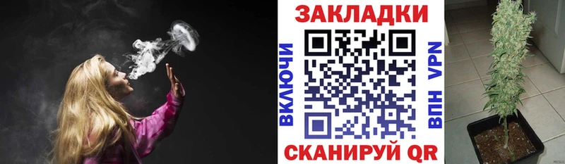 А ПВП Куртамыш