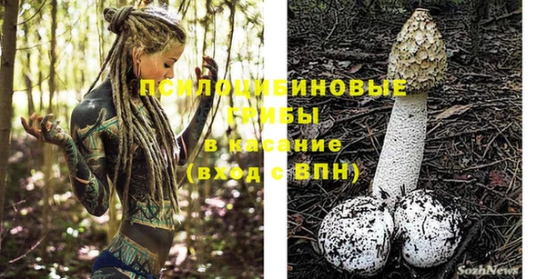 амф Зерноград