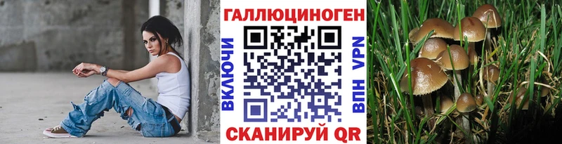 Галлюциногенные грибы Cubensis  Купить где  Куртамыш 